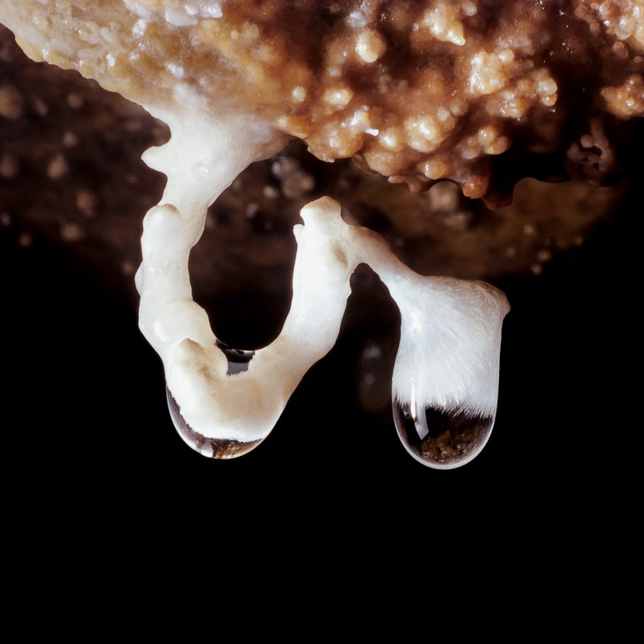 S-shaped, pure white helictite with water droplet dorming at the tip