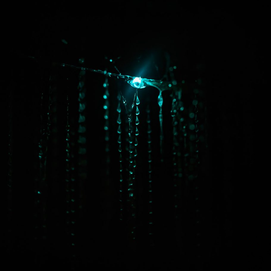 Macro-photo of the blue bioluminescence of a glowworm in a New Zealand Cave