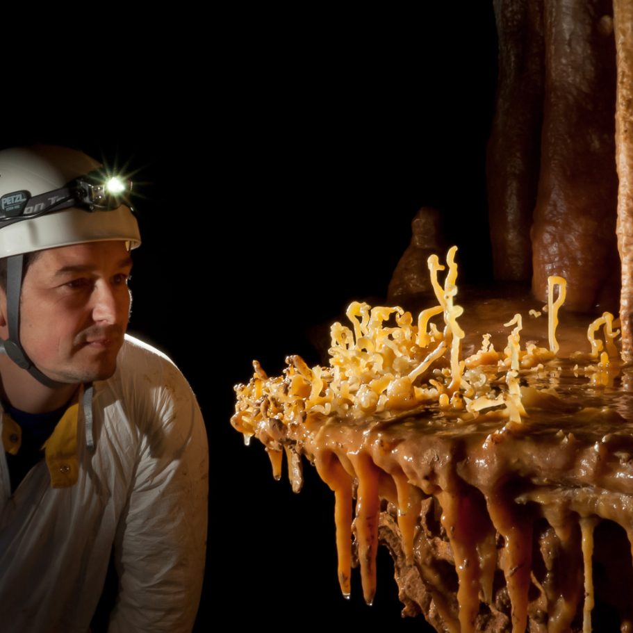 Caver looking at flowstone rim with snake-dancer helictites