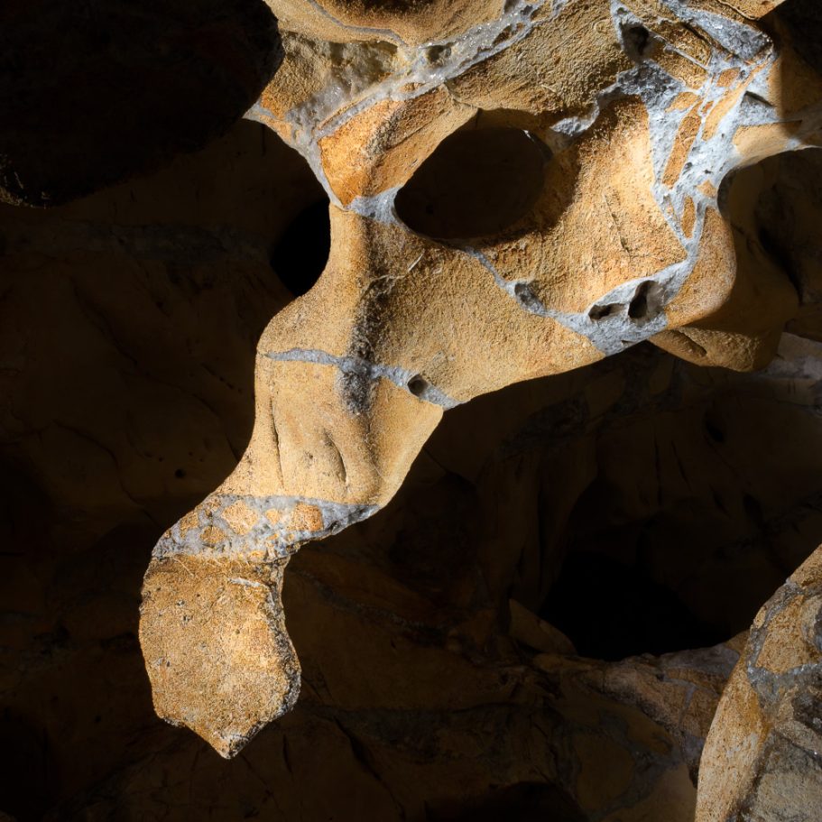Cave wall the shape of an animal