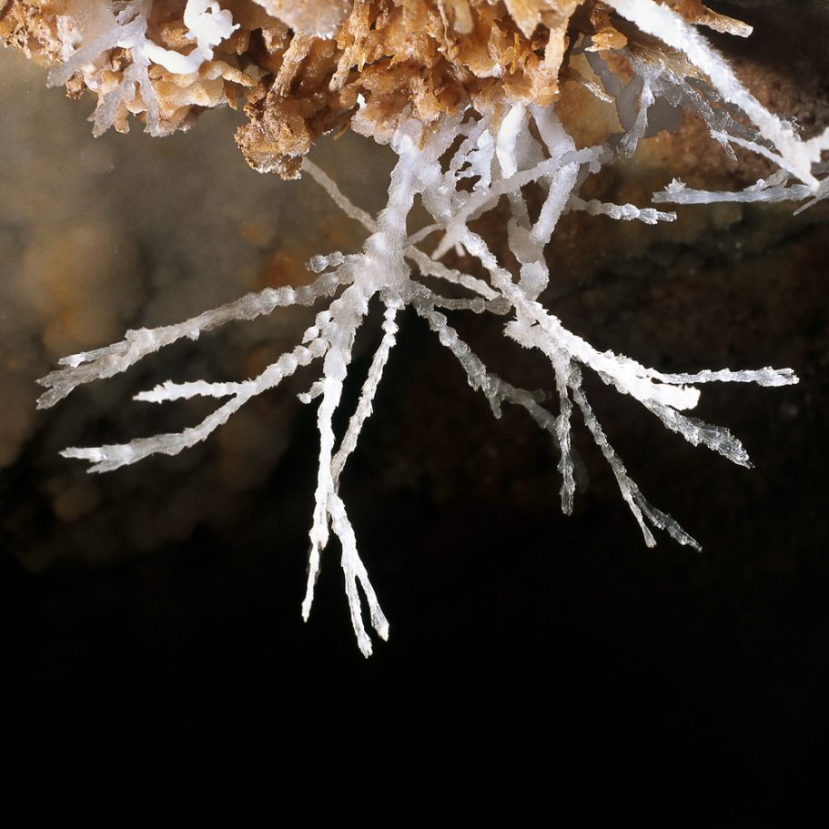 delicate, white aragonite helictites