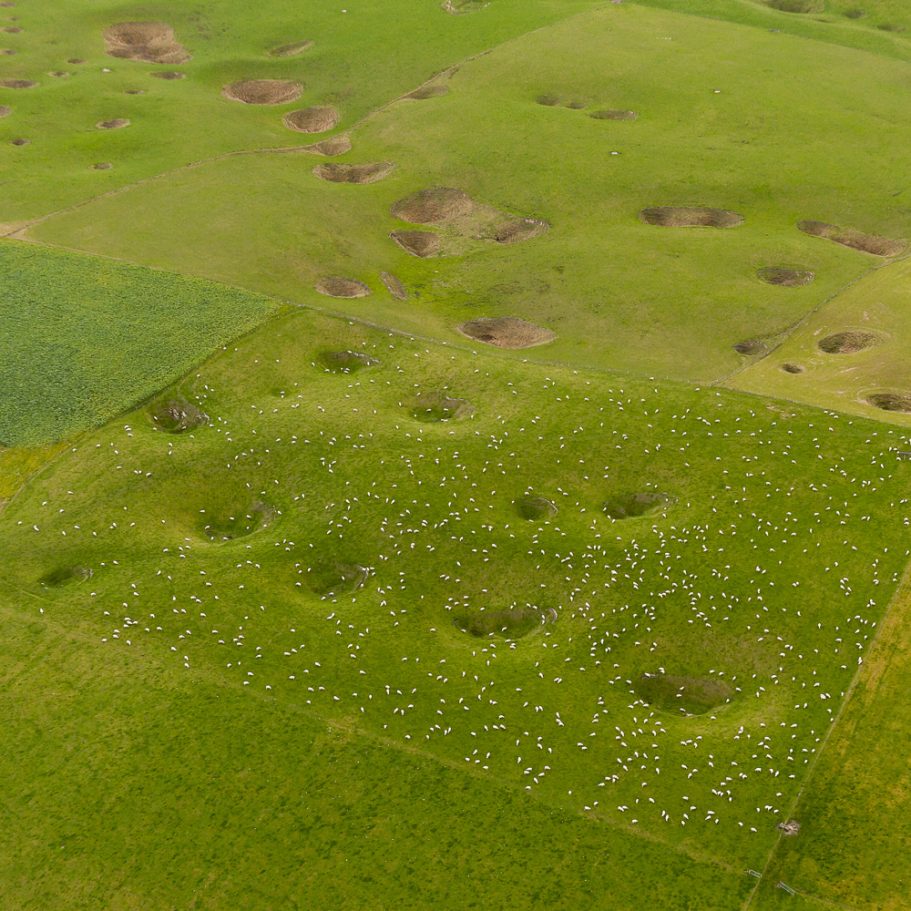 Aerial photo of dolines pockmarking a field with sheep