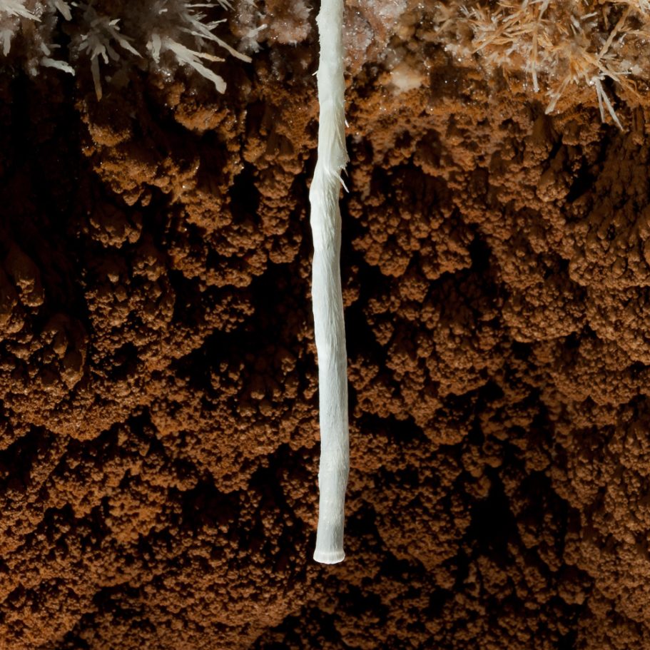 Rare, white aragonite tube in a cave with brown calcite crystals in the background