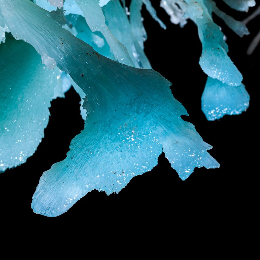 Close-up photo of a blue aragonite helictite 