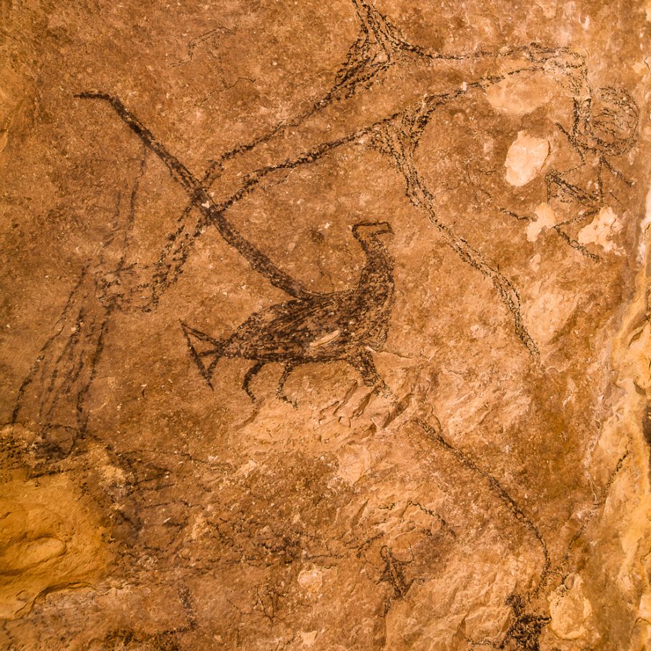 Maori rock art showing an excticnt hast eagle on the ceiling of a limestone rock shelter in New Zealand