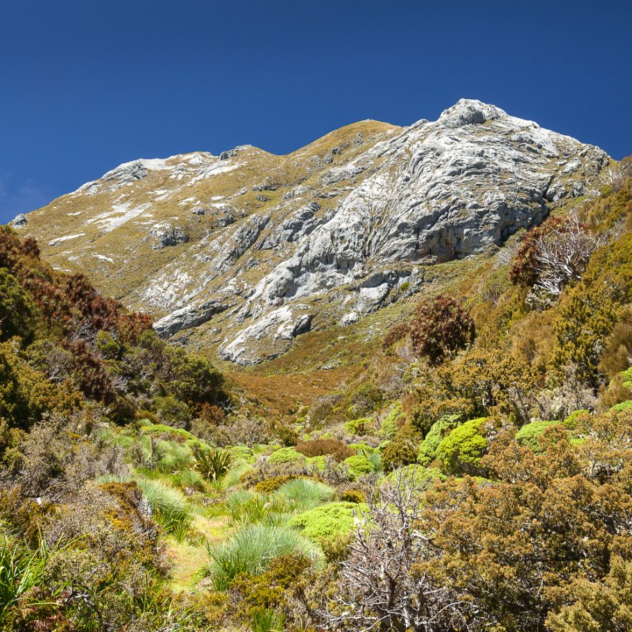 Limestone hills above lush valley