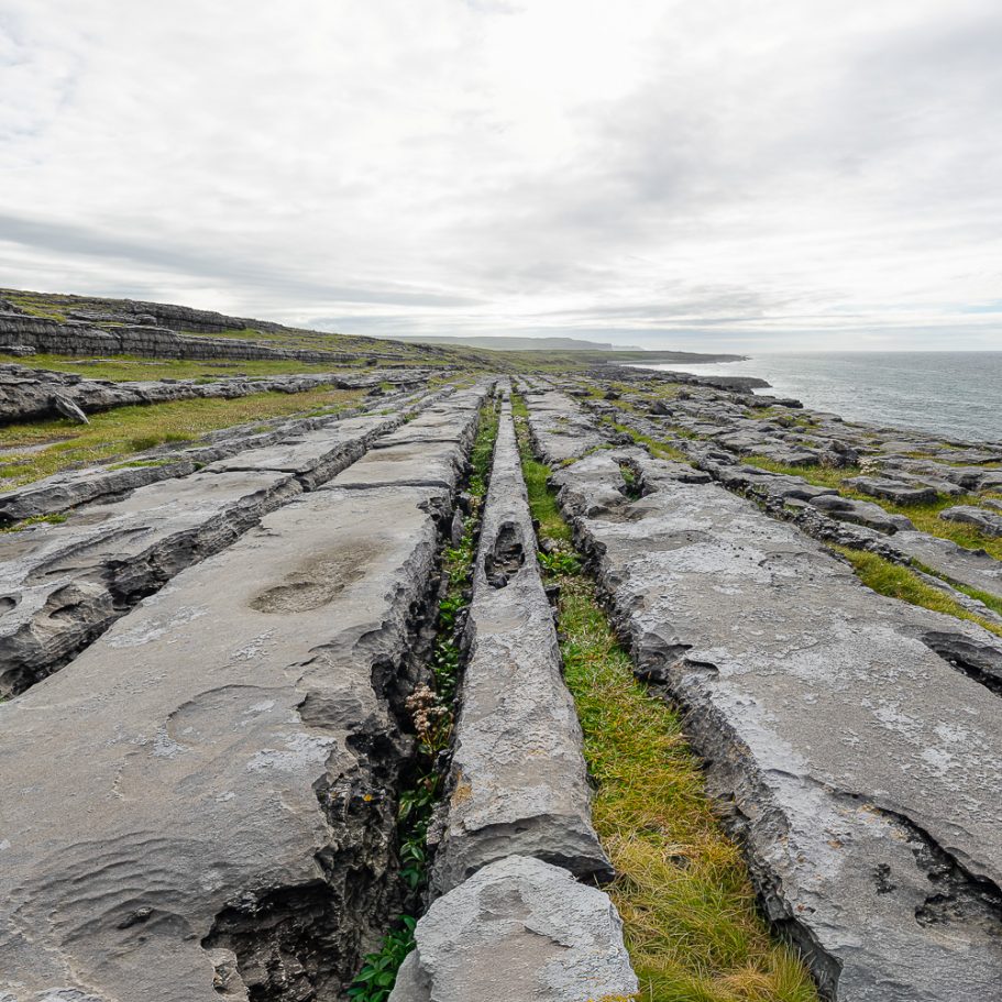 linear arrangement of limestone clints