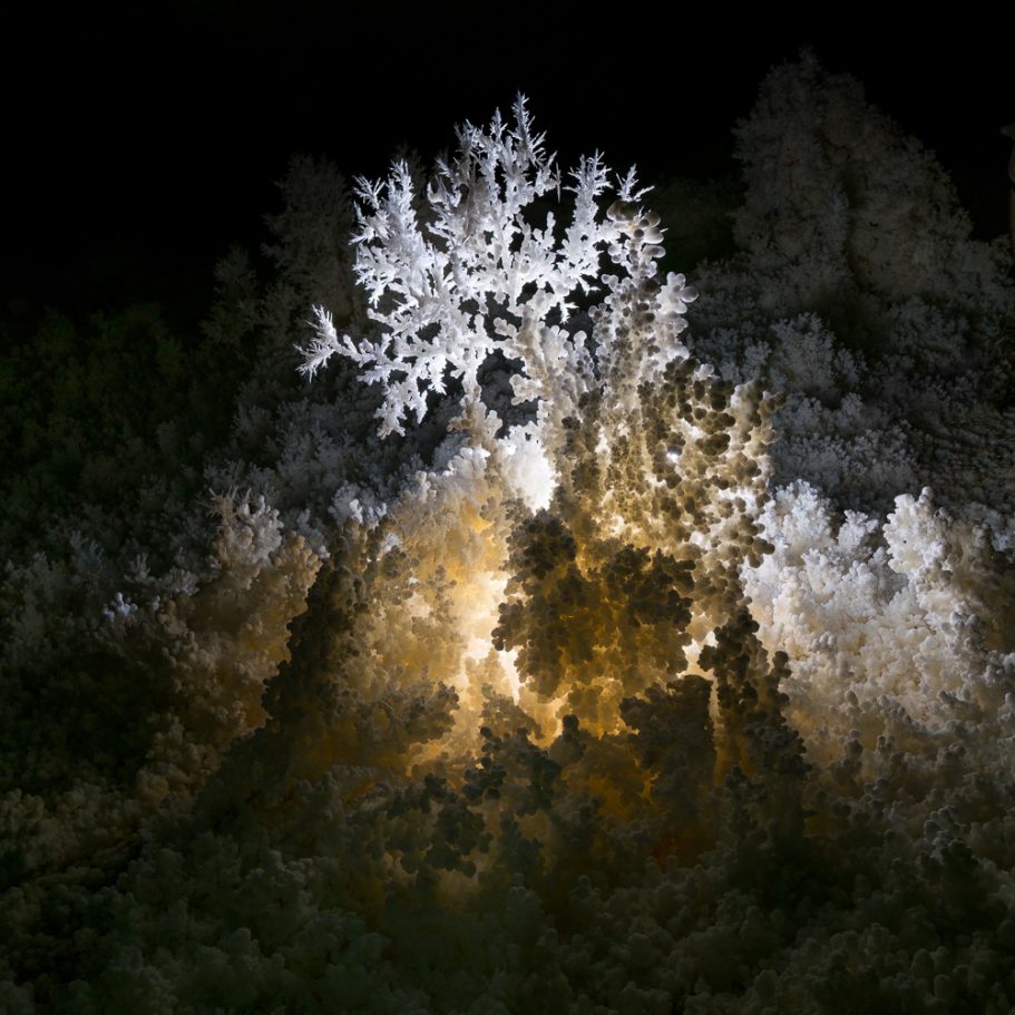 Very fragile aragonite formation growing from the floor of Lechuguilla Cave