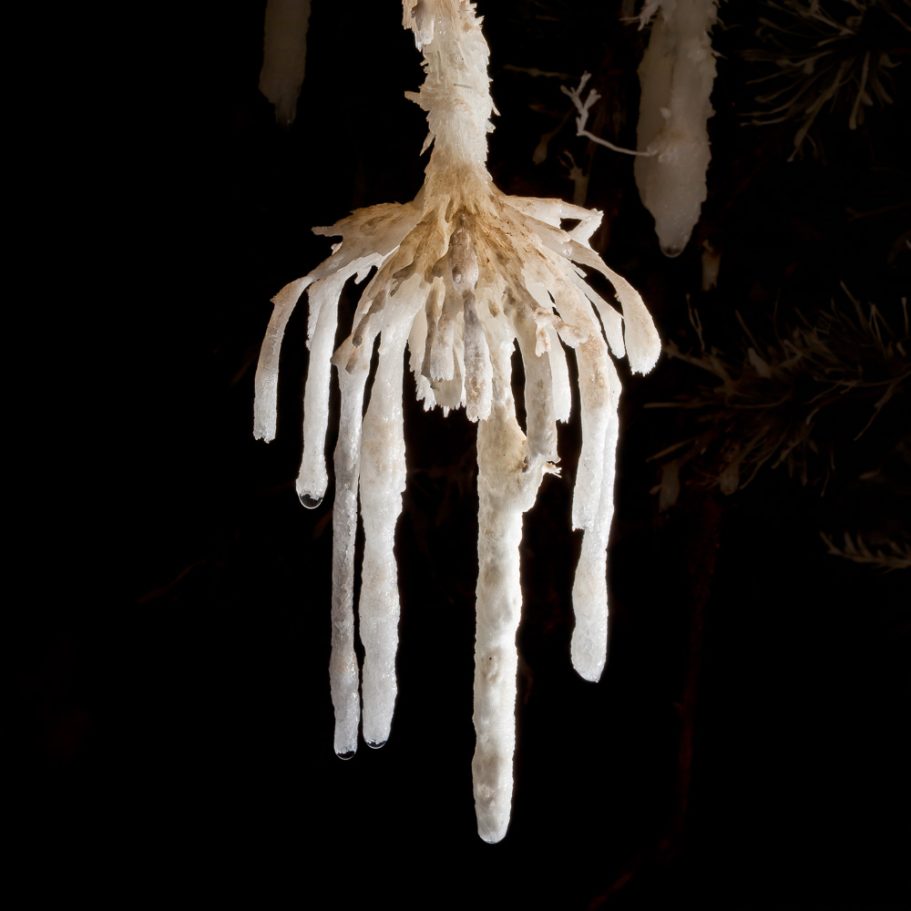 Spider-shaped cluster of white aragonite soda-straw stalactites 