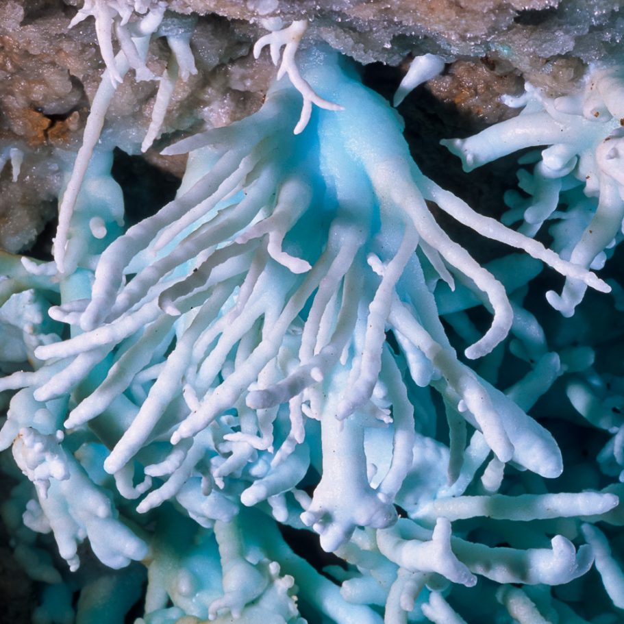 Bluish aragonite helictites with white tips