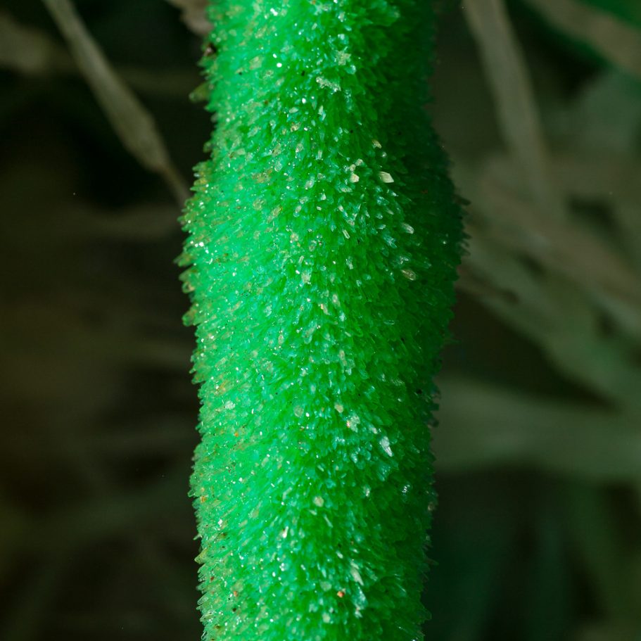 Detail of pure green aragonite stalactite