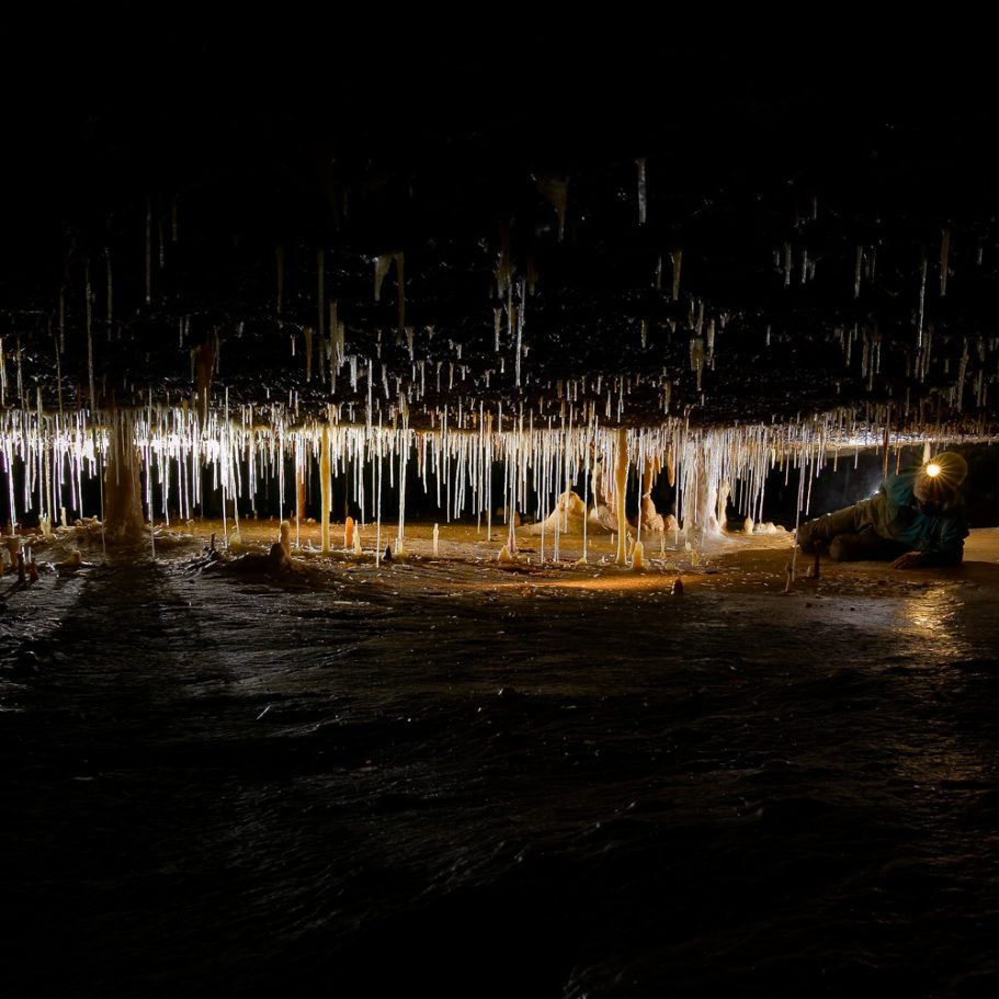 Caver in low bedding plane with soda straw stalactites