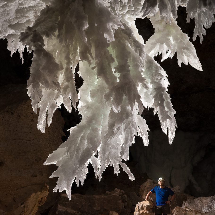 Gypsum crystal 'chanedelier' several metres in length hanging from the ceiling of Lechuguilla Cave