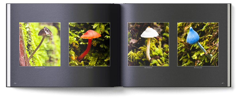 Sample double page of the 'New Zealand Karst' book showing four mushrooms brown, red, white, and blue
