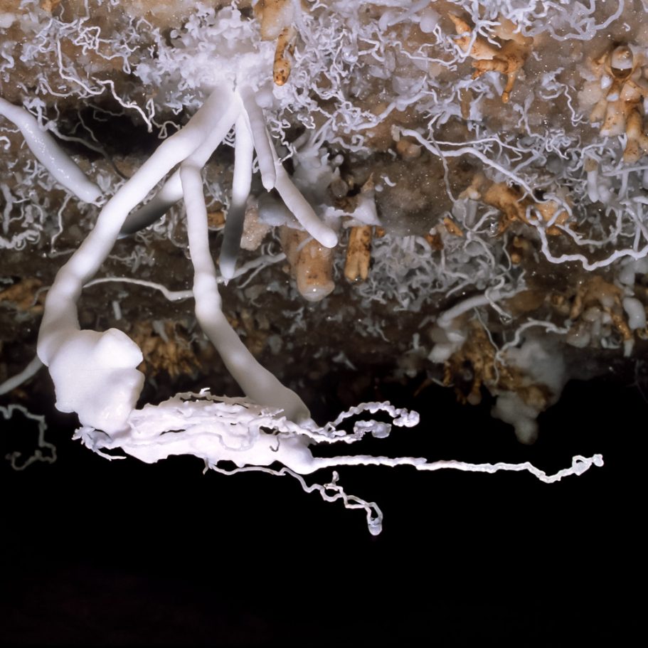 white aragonit ehelictite growing horizontally towards the airflow in the cave passage