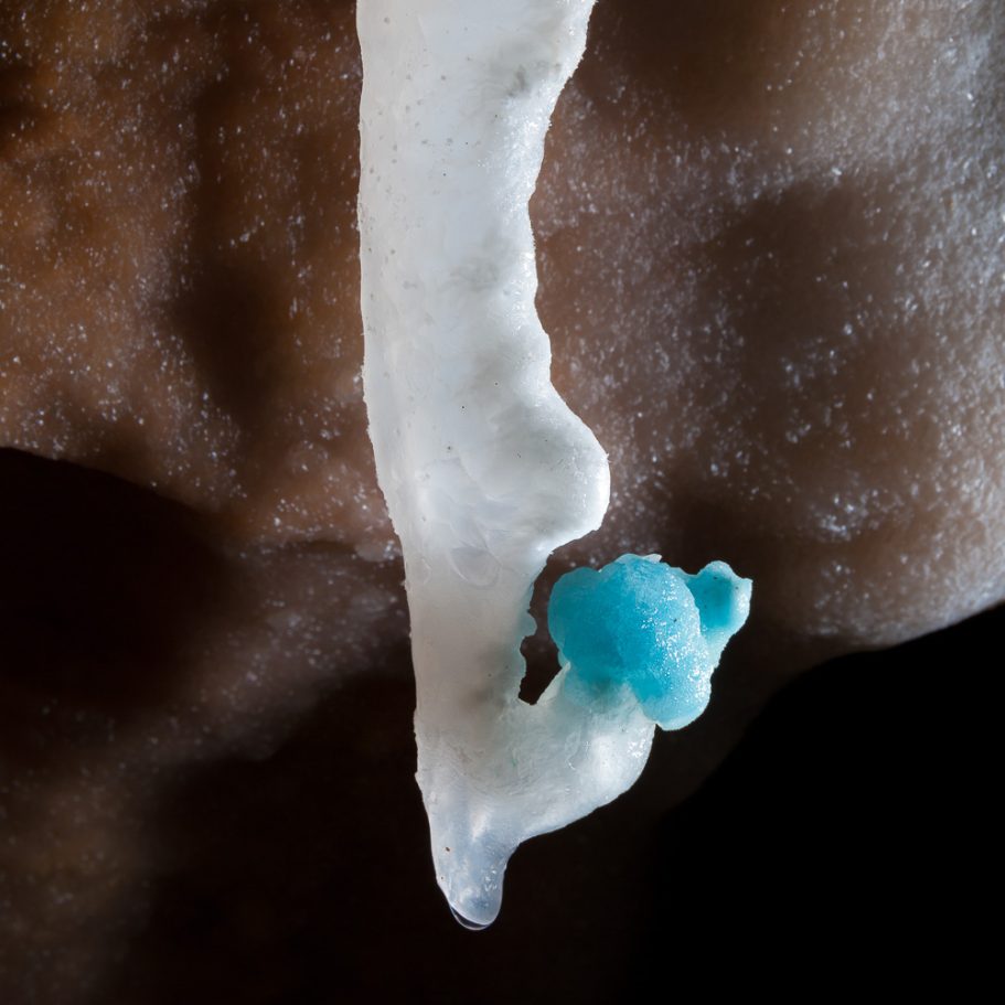 Bizarre cave formation with curled blue tip
