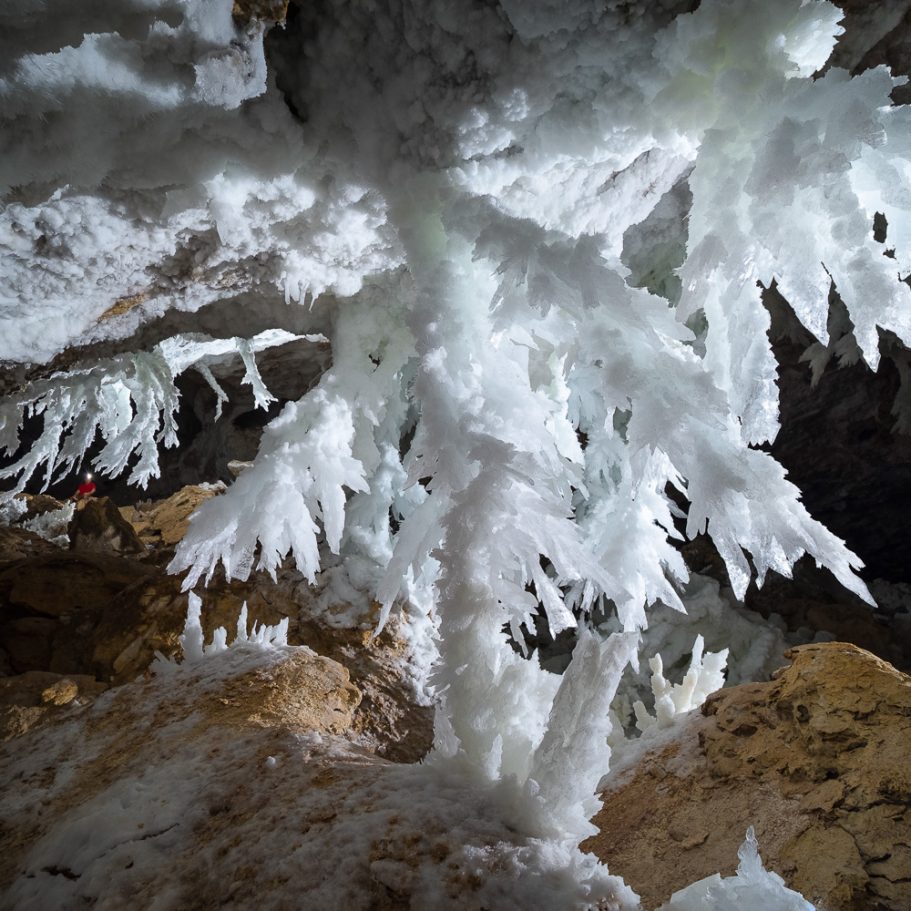Giant gypsum crystal aggregates hanging from the ceiling of 'Chandelier Ballroom' in Lechuguilla Cave; caver for scale in the background