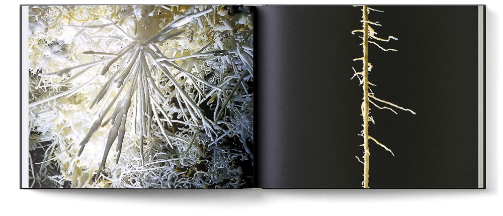 Sample double page of the 'Inside Mother Earth' book showing delicate aragonite formations
