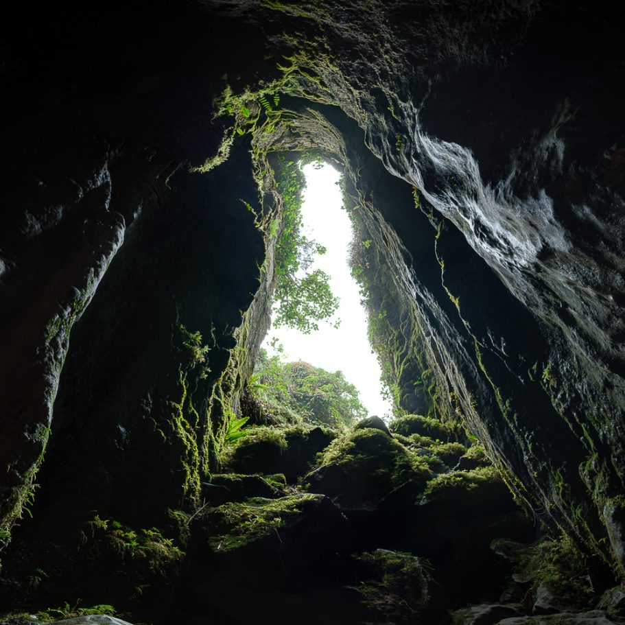 Cave entrance with lush vegetation