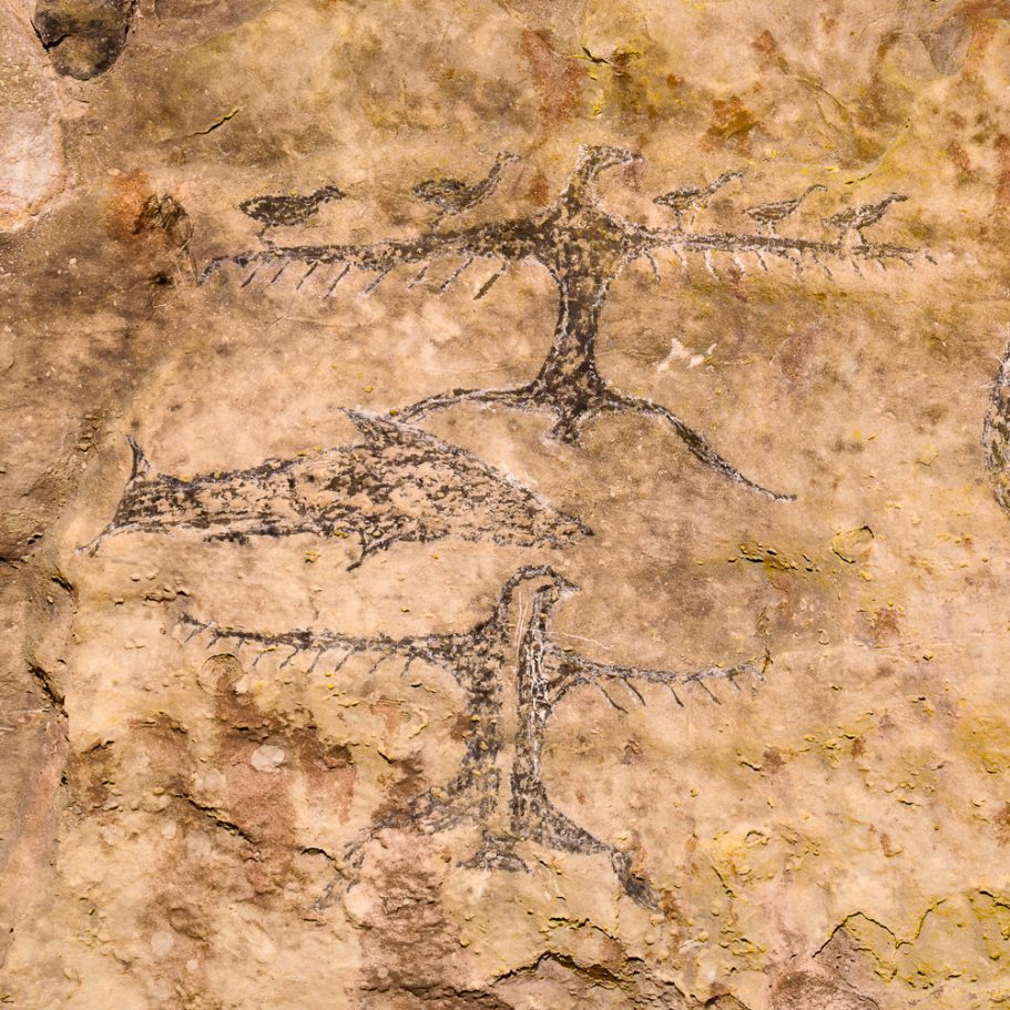 Maori rock art showing several animals on the wall a limestone rock shelter in New Zealand