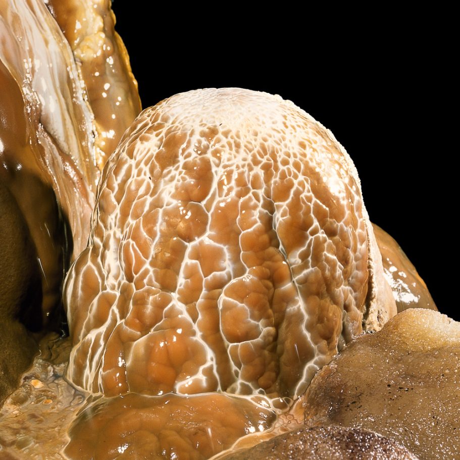 Brown stalagmite covered in a network of pure-white veins