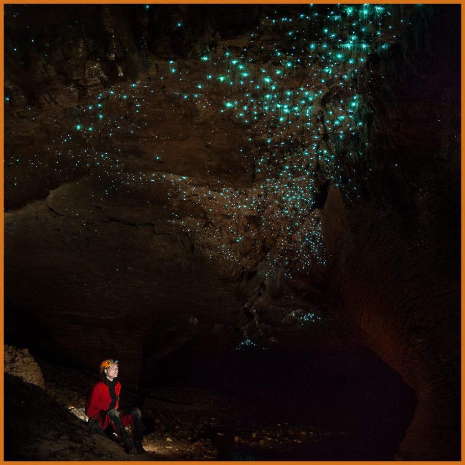 Blue bioluminescence of glowworms in a New Zealand cave; title photo for "Glowworms" portfolio