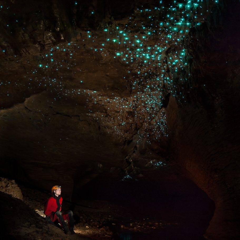 Blue starlit sky of glowworms on the ceiling of a New Zealand Cave