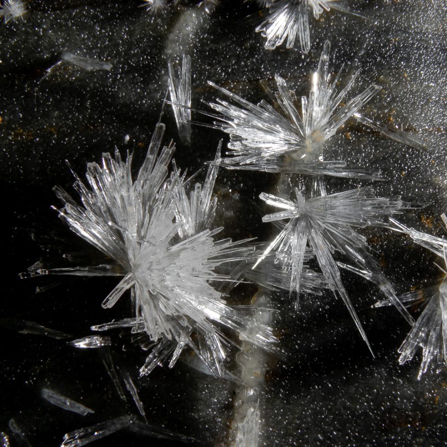 Clusters of radiating, translucent calcite crystals on a dark grey cave wall