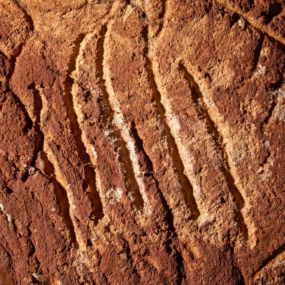 Claw mark of a cave bear with five characteristic grooves on the cave wall