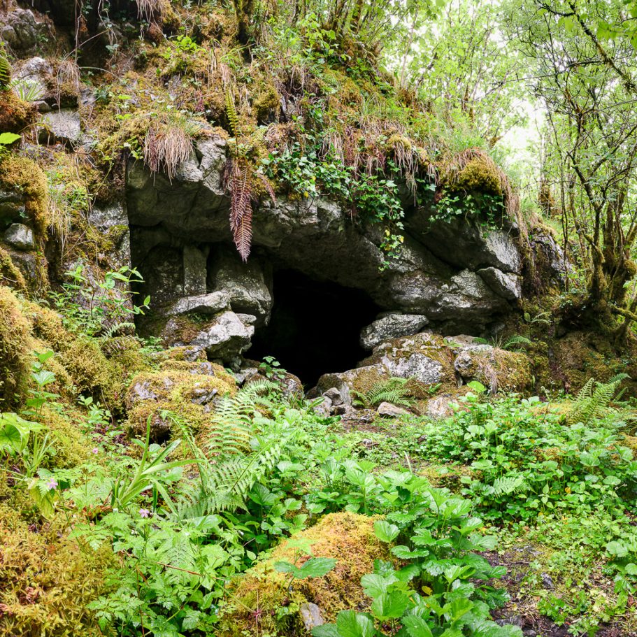 Cave entrance in the woods