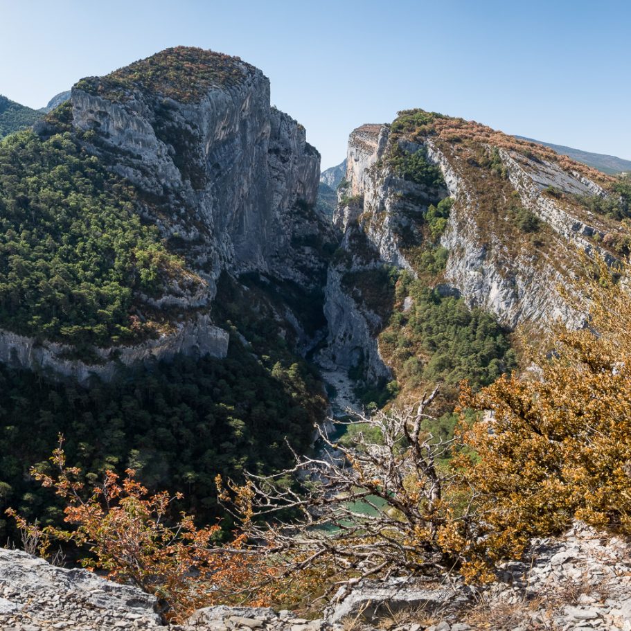 Large canyon cutting through a limestone plateau