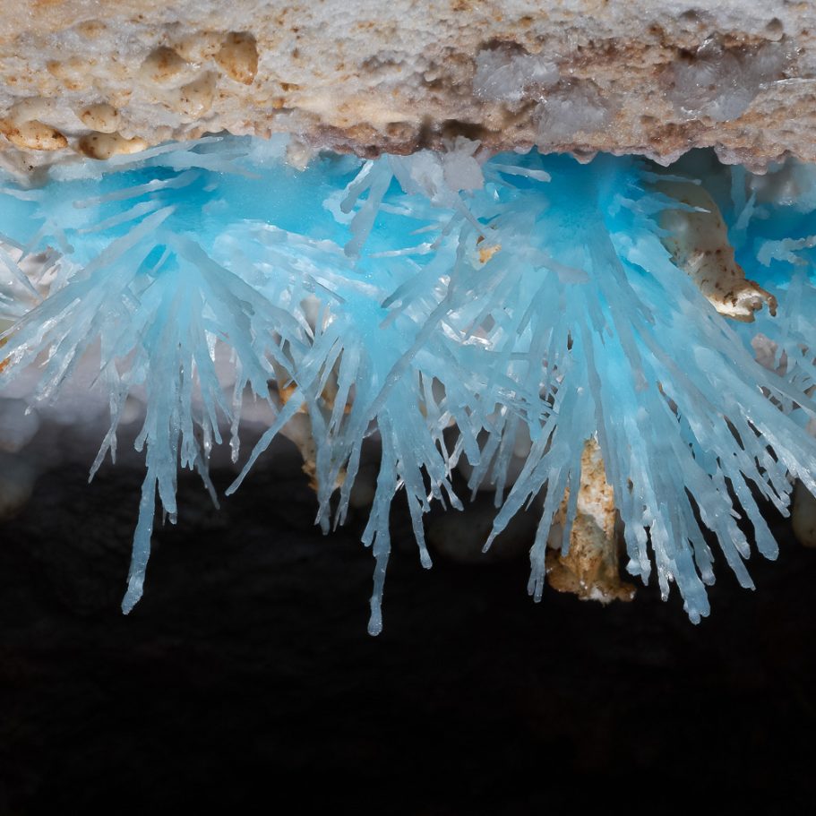 Array of radiating, blue aragonite crystals on cave ceiling