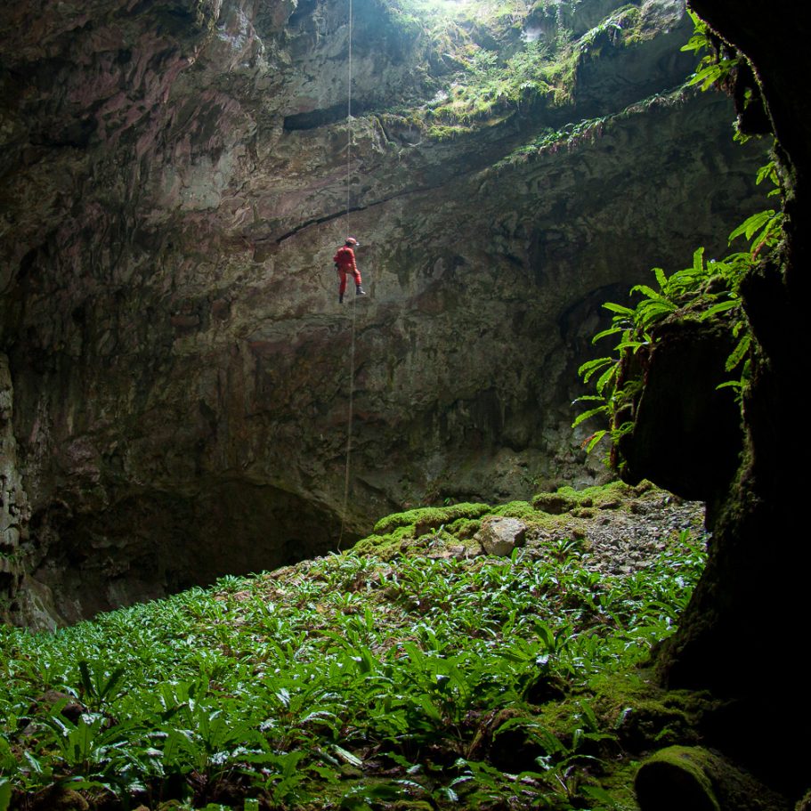 Caver rapelling to floor with lots of ferns