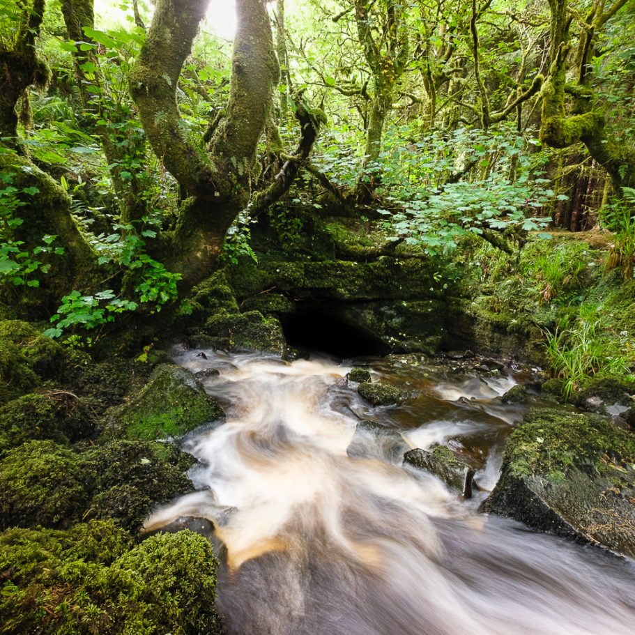 Active sinkhole cave entrance