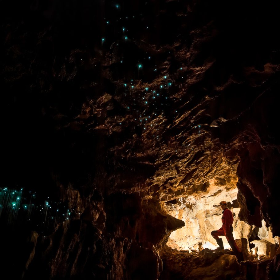 Caver in cave passage with clusters of glowworms illuminating the walls