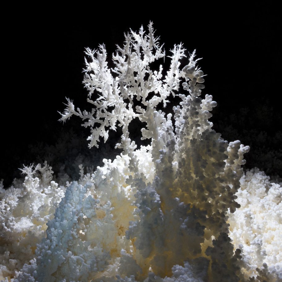 Super-delicate aragonite "tree" on calcite "popcorn" on the cave floor