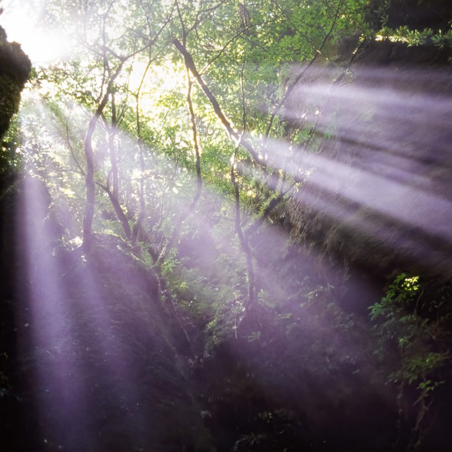 Light beams entering a cave entrance