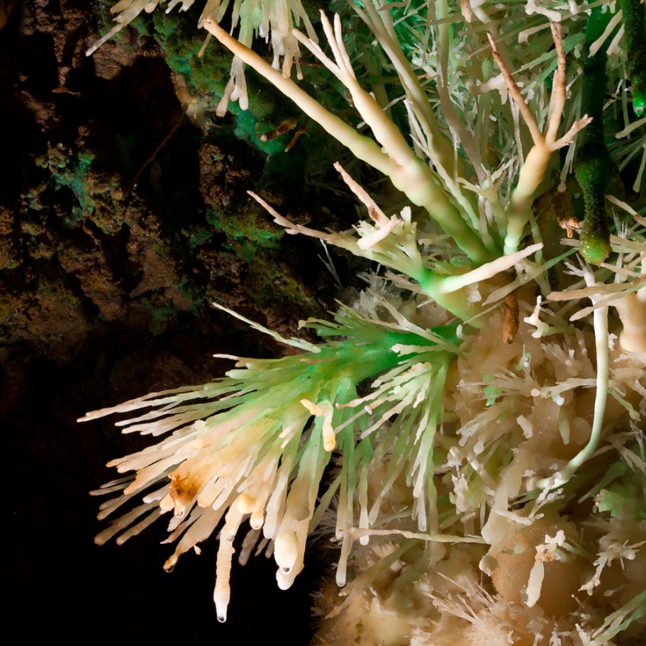 Greenish aragonite helictites with white tips