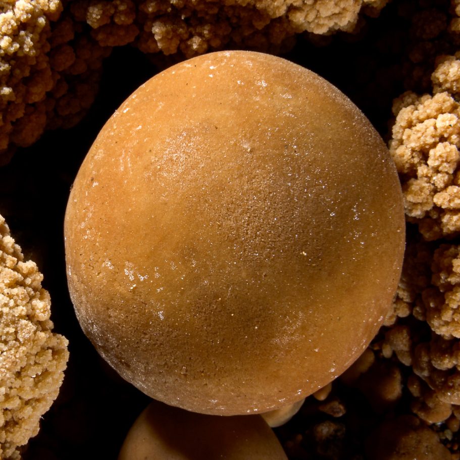 Macro-photo of a single, perfectly sphaerical cave pearl