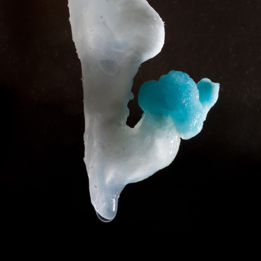 Macro-photo of a white calcite helictite with twisted blue tip