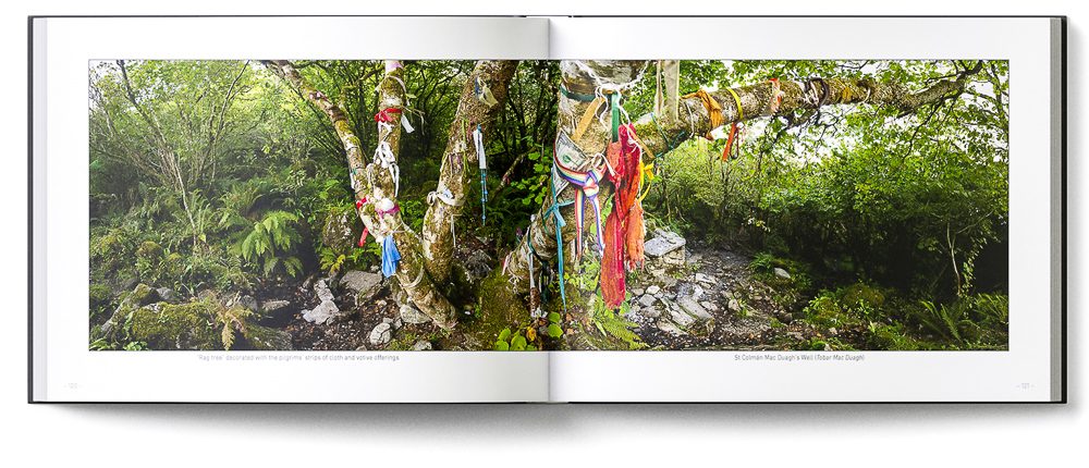 Sample double-page of the 'Burren' book showing a rag tree next to a holy well (karst spring)