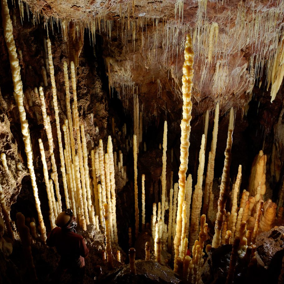 'Forest' of tall candle stalagmites