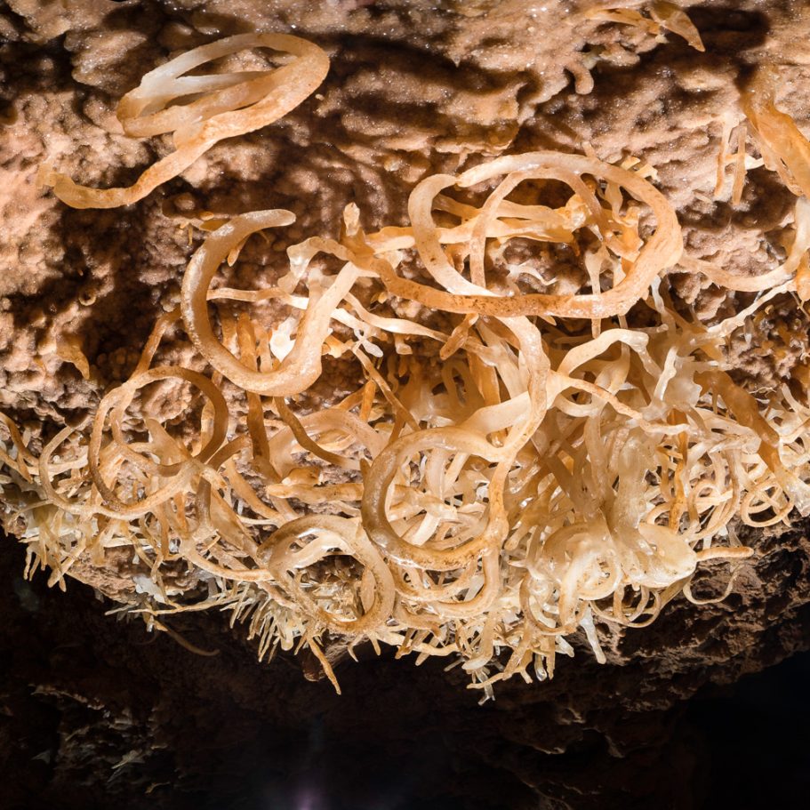 Twisted calcite helictites on cave wall forming circles and figure-eights