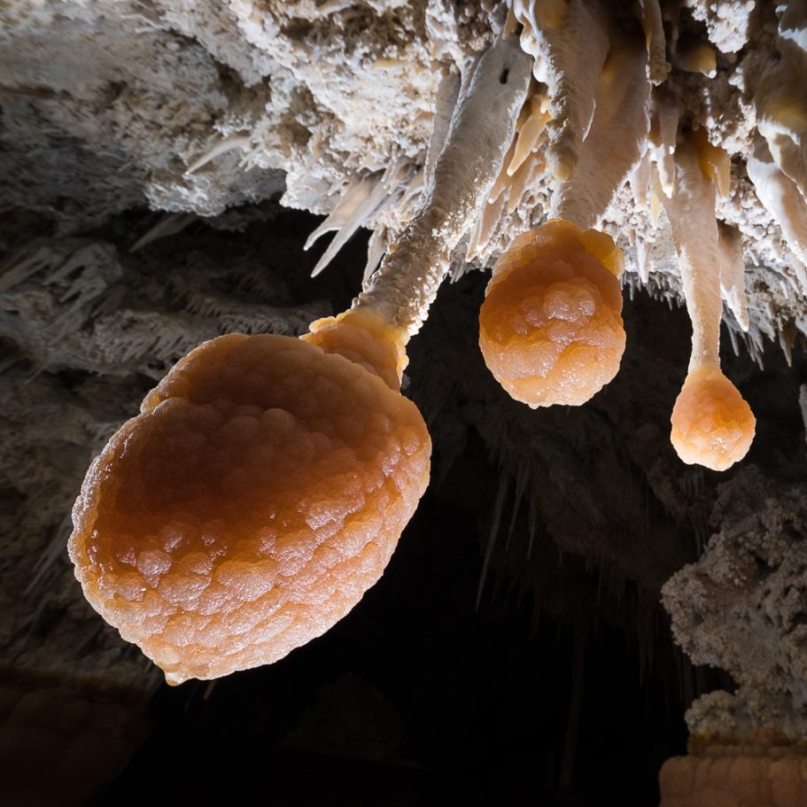 'Lion-tale' speleothems that have formed at the tips of stalactites dipping in 'Lake Castrovalva' in Lechuguilla Cave 