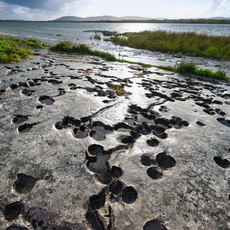 Dish-shaped solution pans in limestone lake shore