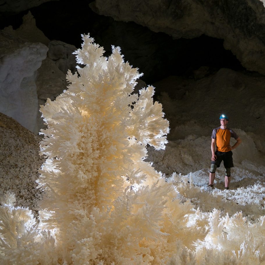 Caver for scale next to a very tall aragonite "tree" in Lechuguilla Cave