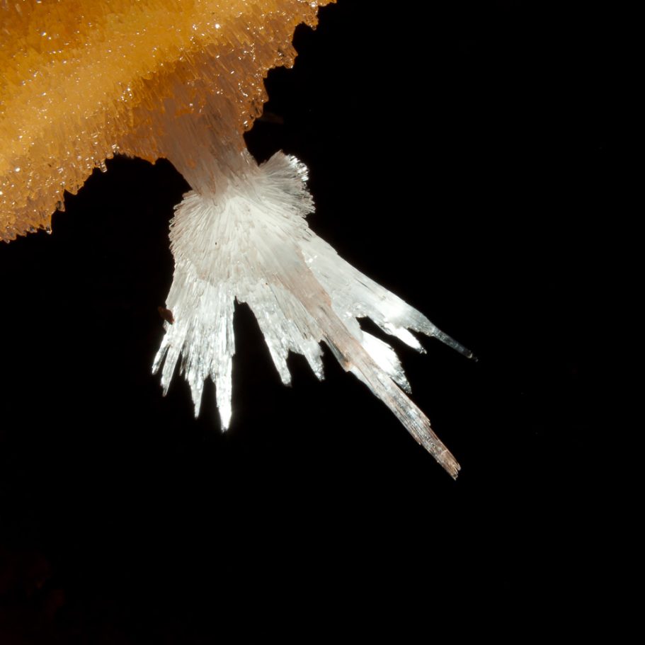 Radiating, white to translucent aragonite crystals on contrasting orange flowstone