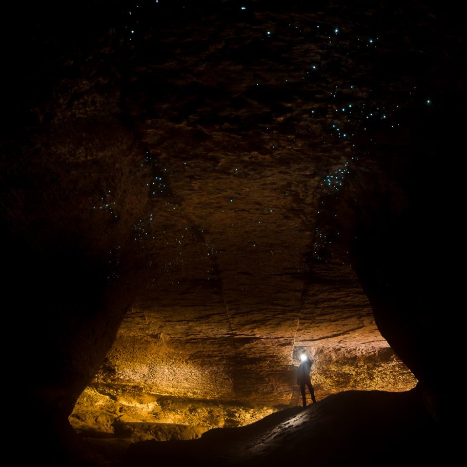 Large cave passage with daylight in the background and blue startlit sky of glowworms overhead